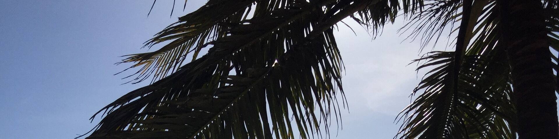 Marari is a beautiful beach close to around 30 kms from alleppey. Enjoy the evening with a walk on this beautiful beach