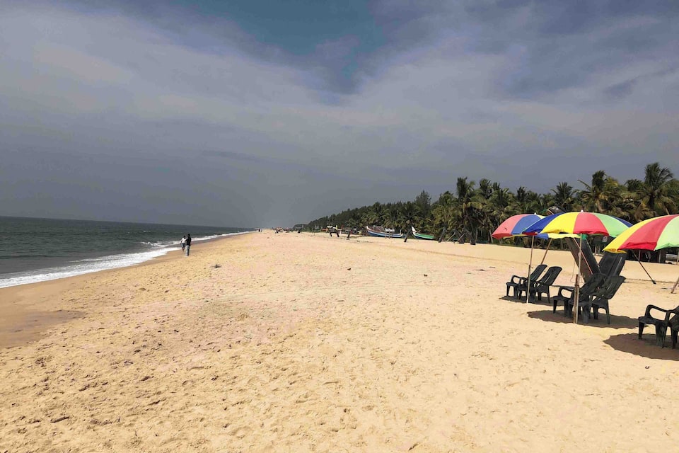 Una playa arenosa con palmeras y sombrillas de colores.