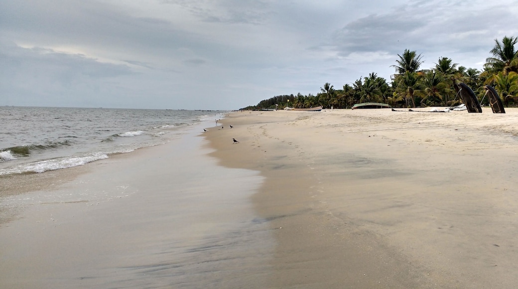 The long , Clear , Clean Mararikulam beach ...
