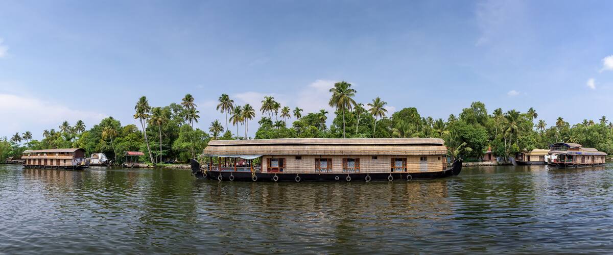 A houseboat on a calm river surrounded by lush greenery and tall palm trees.