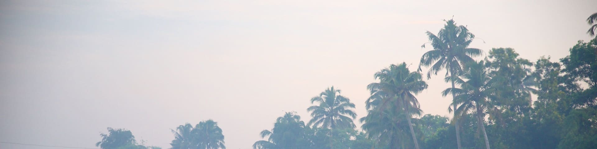 Alappuzha District showing a house and a river or creek