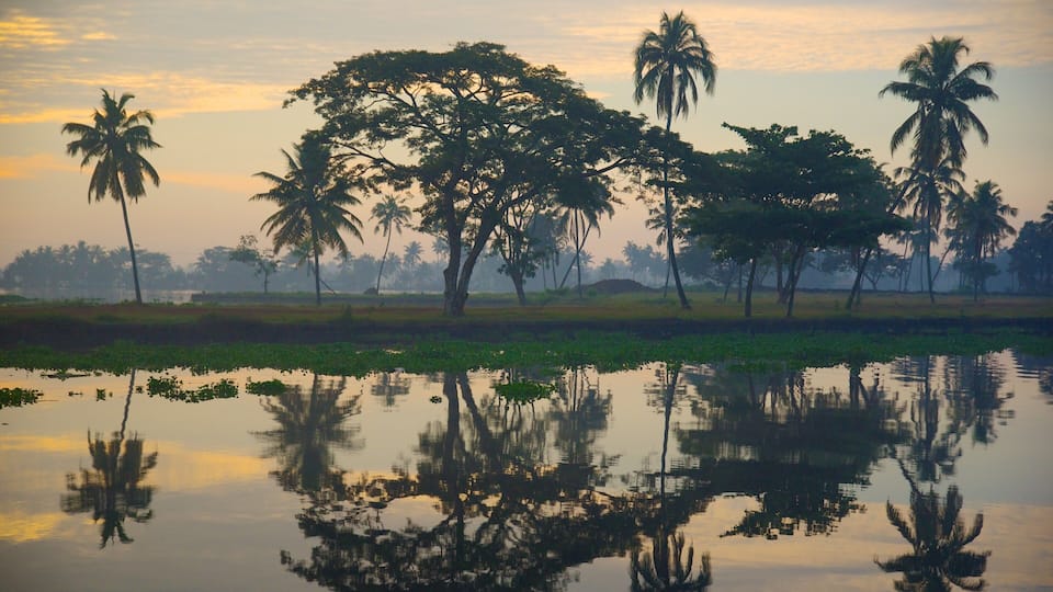 Alappuzha District showing tranquil scenes and a river or creek