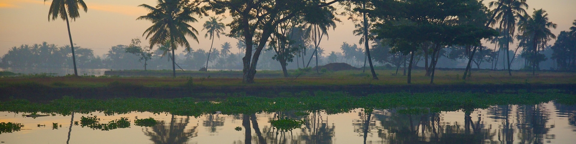Alappuzha District showing tranquil scenes and a river or creek