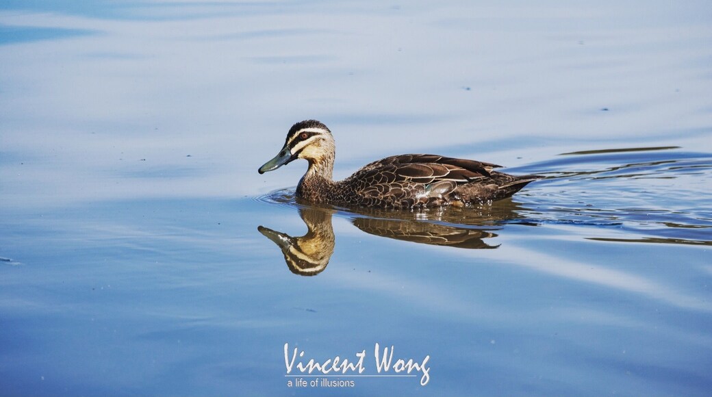 Big huge park near my home #jellspark #fujicolors