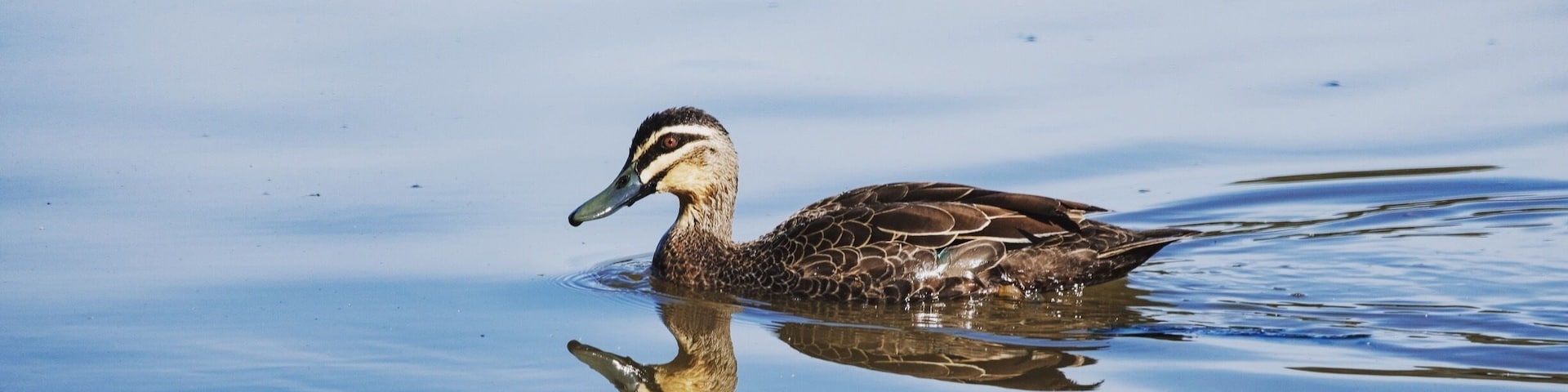 Big huge park near my home #jellspark #fujicolors
