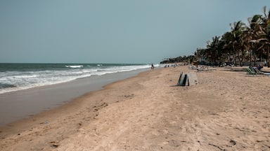 A beach with palm trees, a sign for surfboard rental, and people in the distance.