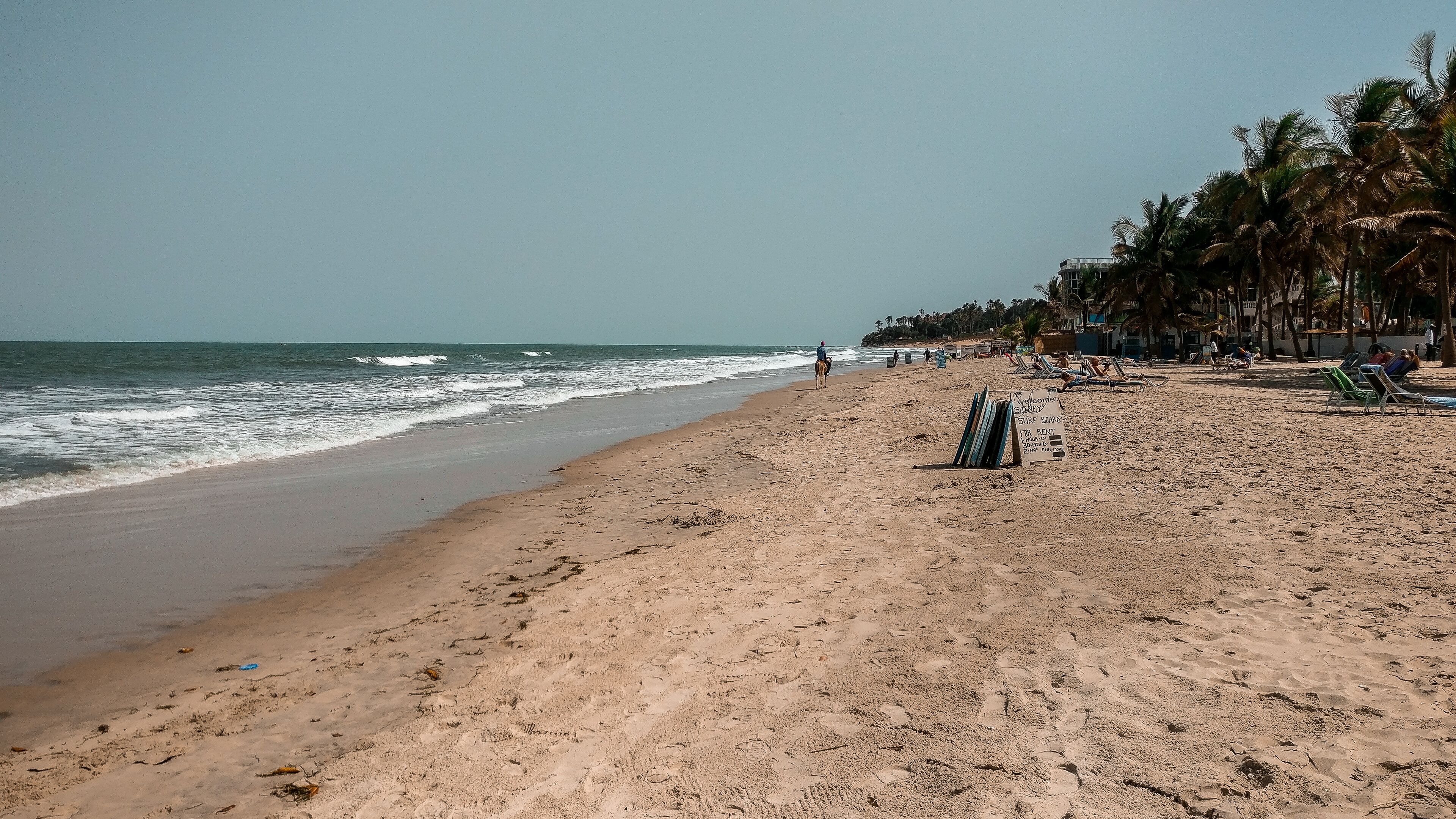A beach with palm trees, a sign for surfboard rental, and people in the distance.