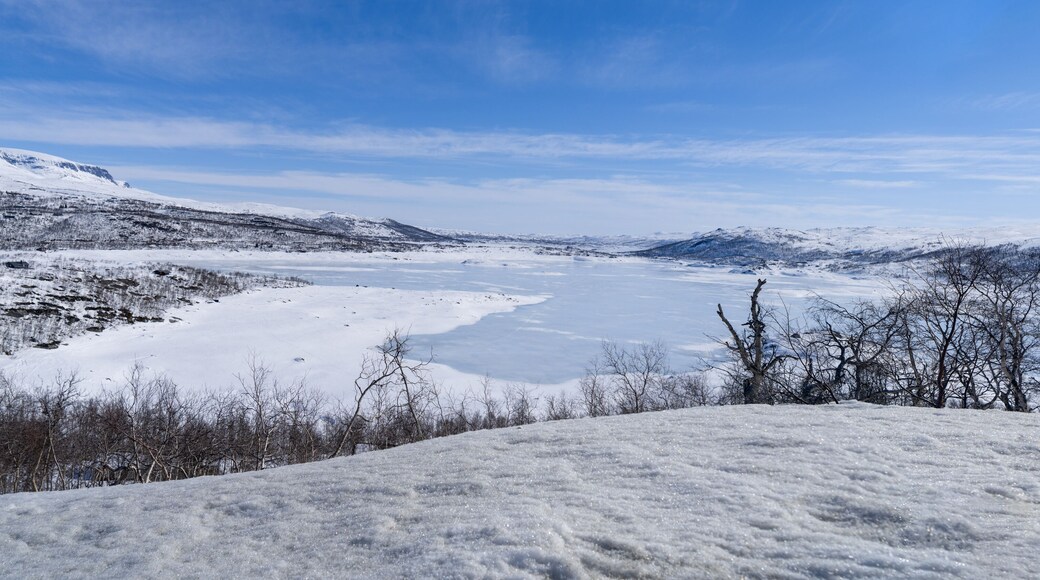 View of the Hallingskarvet National Park from the frozen Sløddfjorden lake