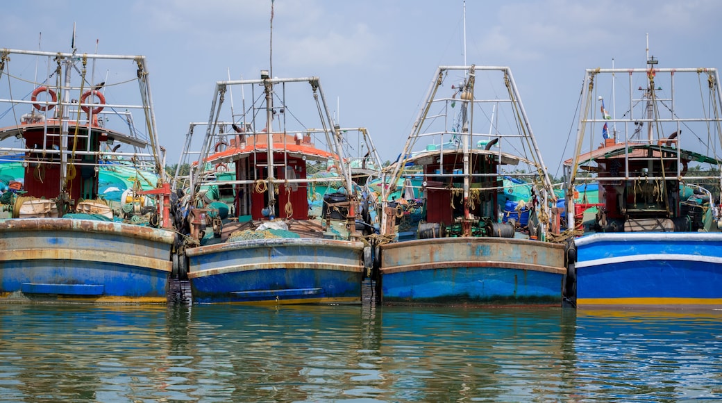 Fishing boats near dock in Beypore harbor calicut .