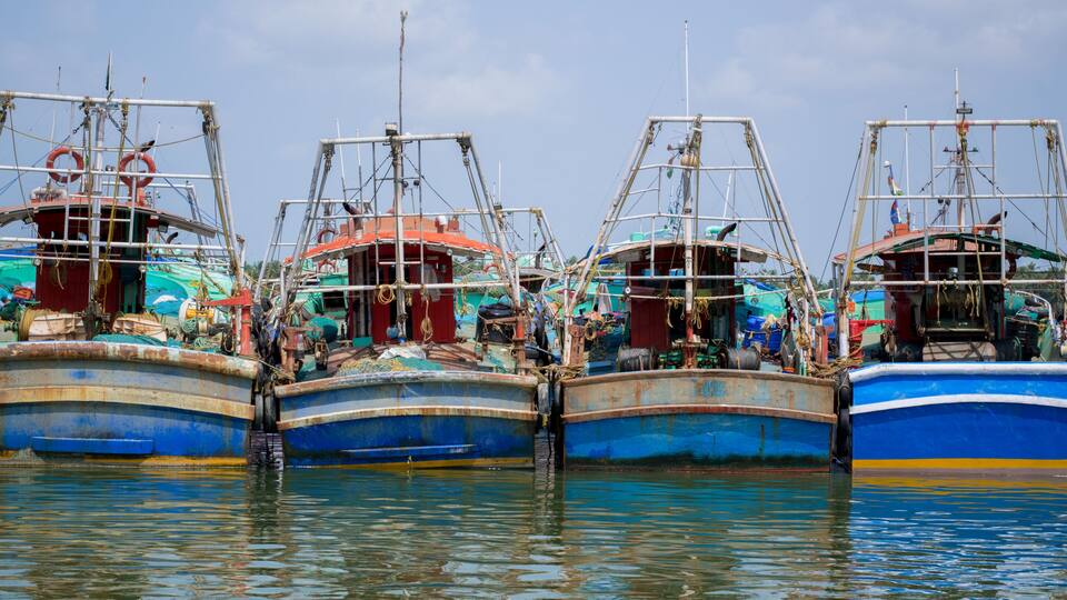 Several fishing boats docked in a harbor.