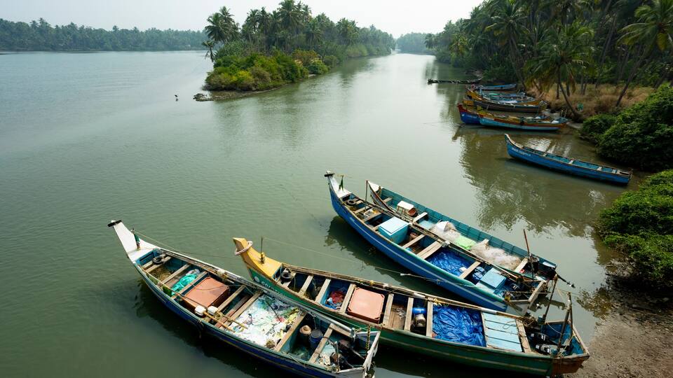 A calm river with several boats docked along the shore, surrounded by lush greenery and palm trees.
