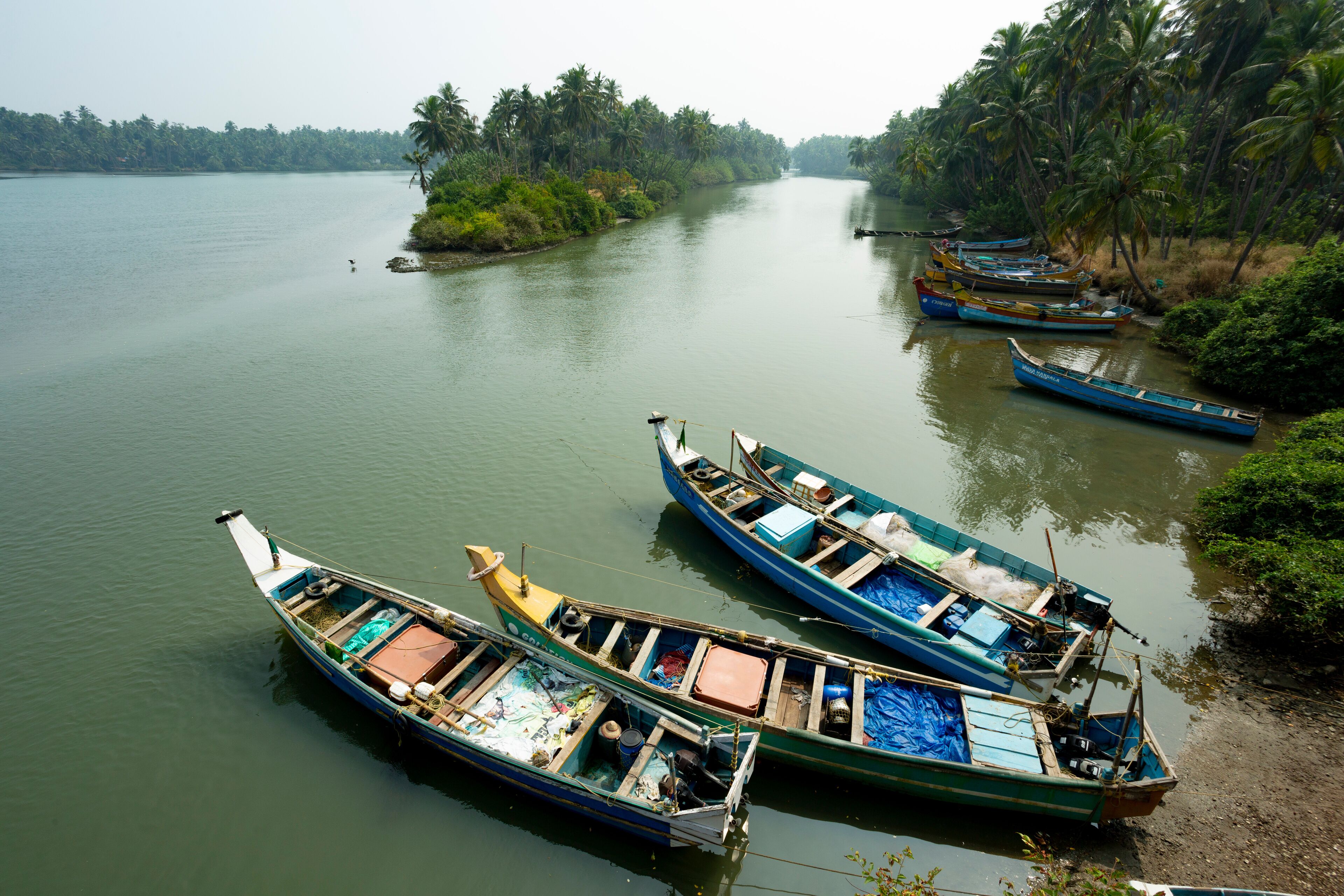 A calm river with several boats docked along the shore, surrounded by lush greenery and palm trees.