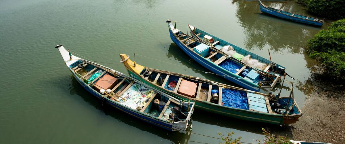 A calm river with several boats docked along the shore, surrounded by lush greenery and palm trees.