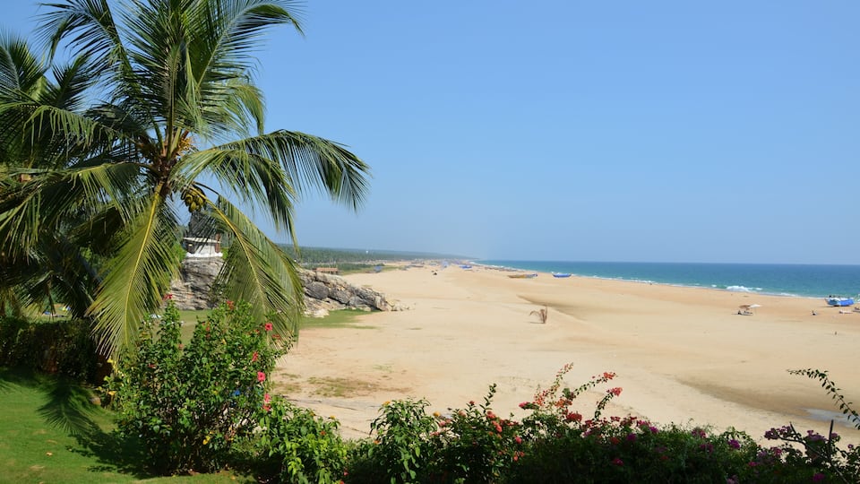 A beach with palm trees, a clear sky, and the ocean.