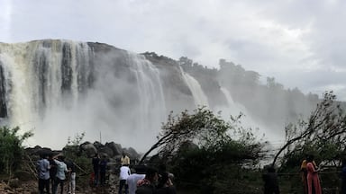 The Athirapally or âBahubaliâ waterfalls as it is popularly known after a scene for that film was shot at the site in its full glory thanks to heavy rains in the area.
More at: https://wp.me/p7CVI8-20z
#trovember #outdoors