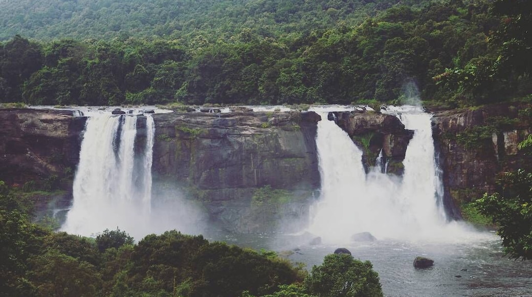 Is it real? Is it magic?
#AquaTrove