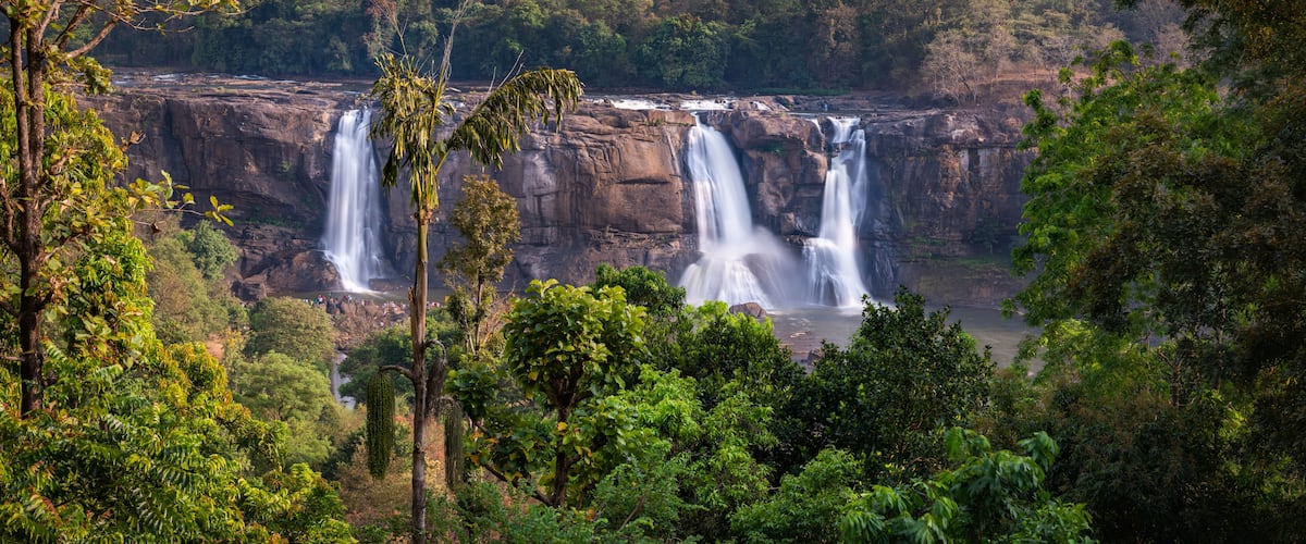 A waterfall cascading down a rocky cliff surrounded by dense forest.