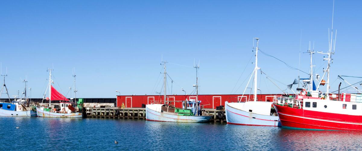 A harbor with several fishing boats docked, a red building, and a clear blue sky.