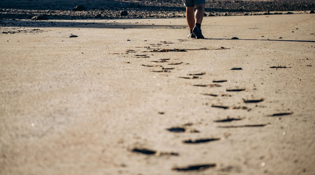 Wide sandy and rocky beaches at low tide along the St Lawrence River, with forested hills in the background and long human footprints leading across the empty shoreline in warm evening light