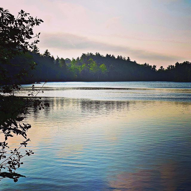 A calm lake with reflections of trees and a cloudy sky.