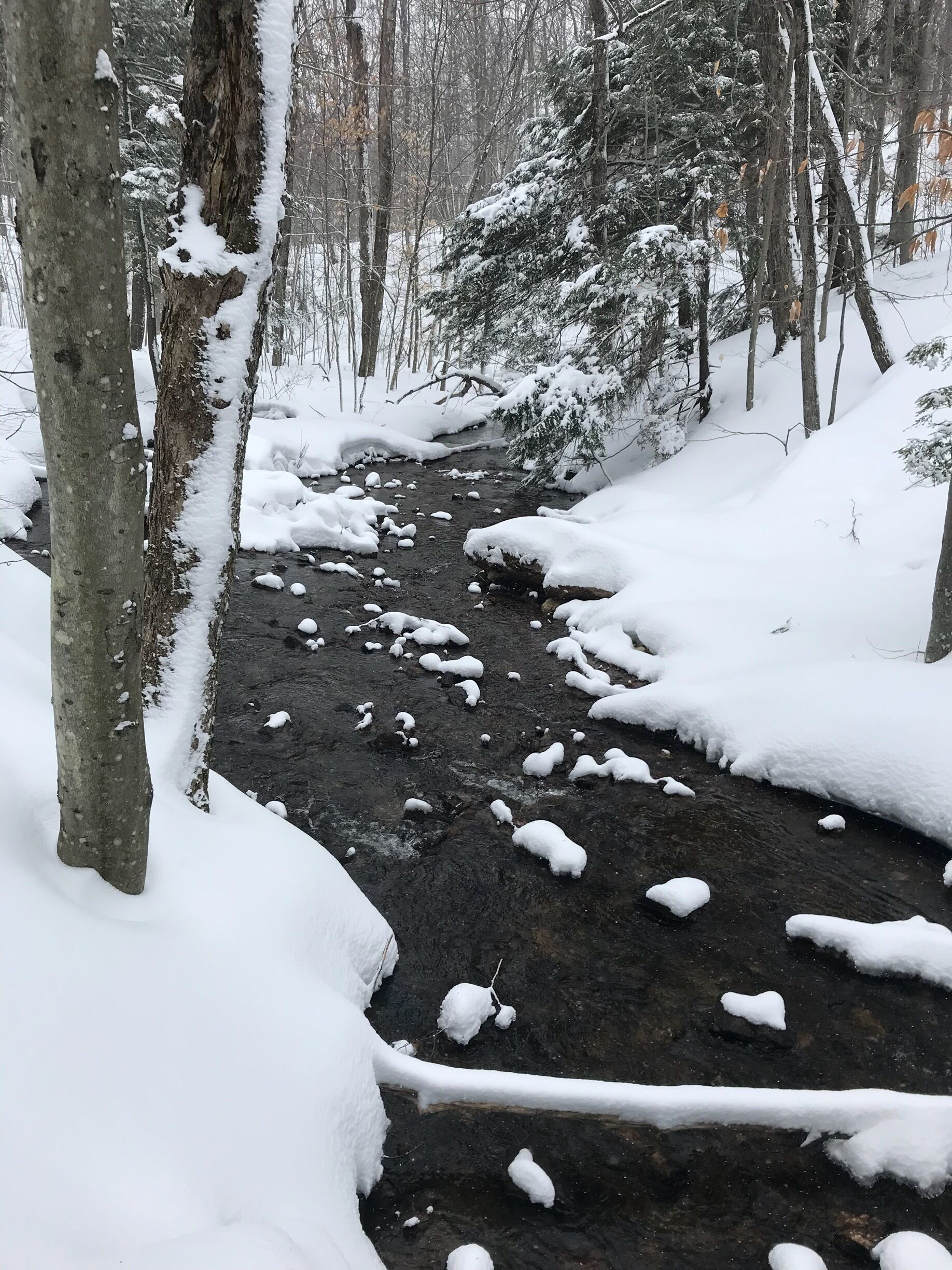 Gatineau #Parks after the snow fall. A perfect morning to snowshoes on the fresh snow. 