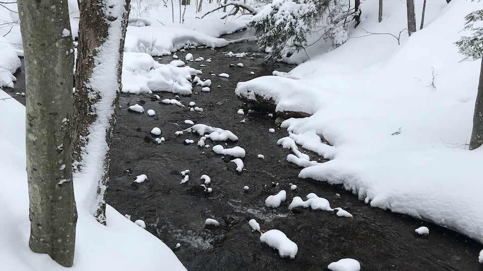 Gatineau #Parks after the snow fall. A perfect morning to snowshoes on the fresh snow.