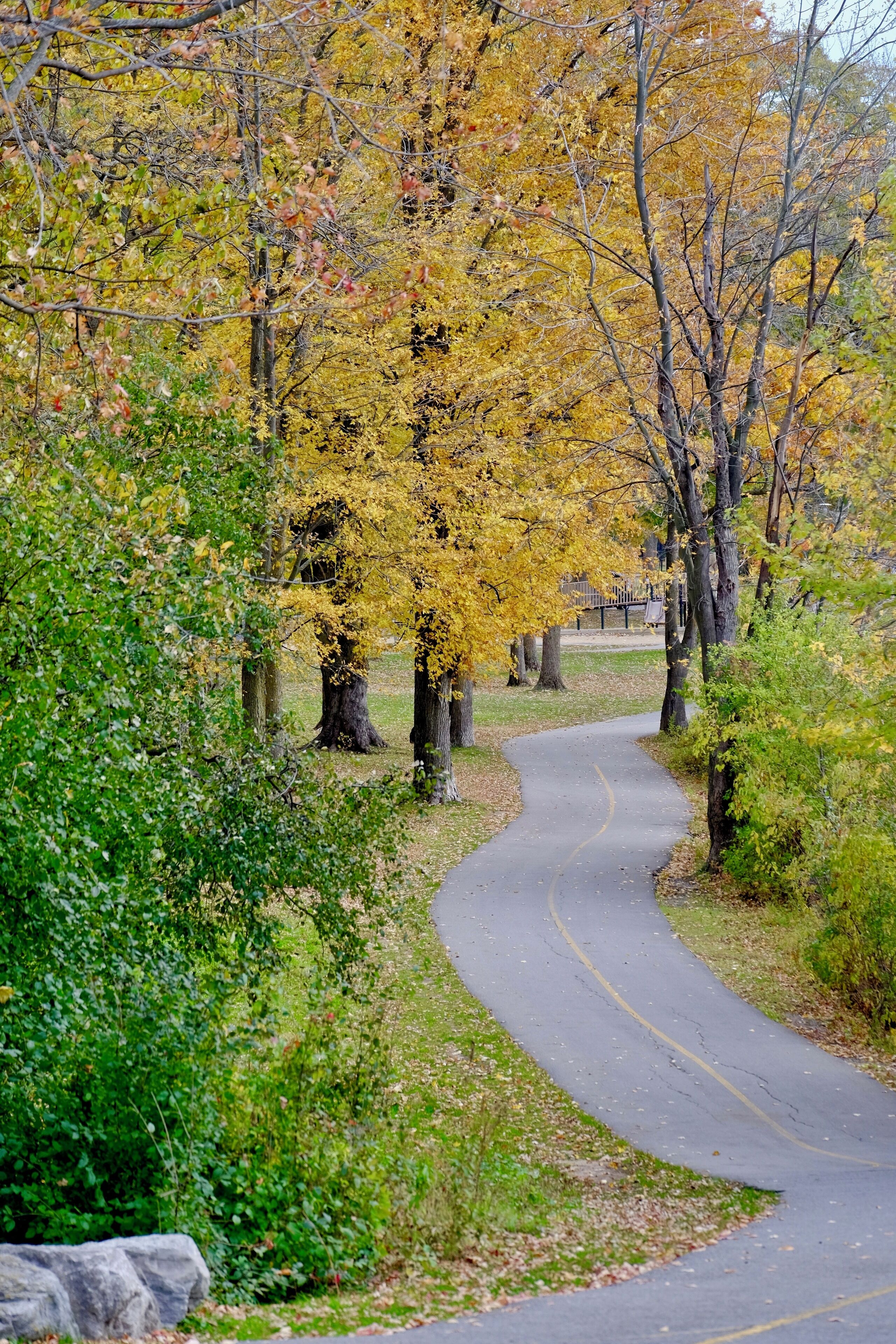 In the heart of the city of Gatineau lies the Lac Lemay. Perfect for families with a big playground, you can also just enjoy a short stroll around the lake - by foot or bicycle - or relax by the beach. And the colours in the fall are to die for!