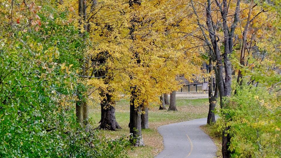 In the heart of the city of Gatineau lies the Lac Lemay. Perfect for families with a big playground, you can also just enjoy a short stroll around the lake - by foot or bicycle - or relax by the beach. And the colours in the fall are to die for!