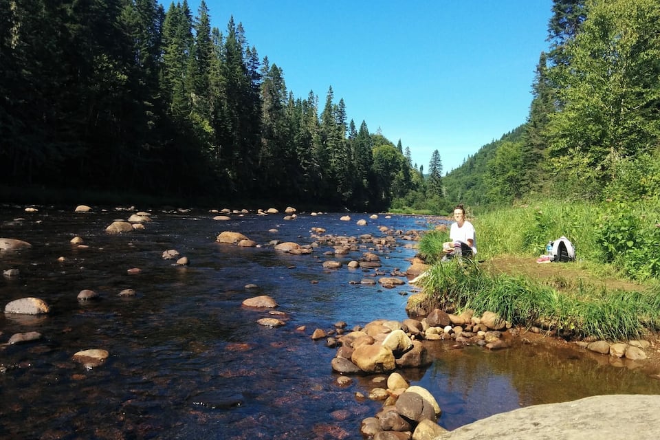 Un río con rocas, una persona sentada en la orilla y un bosque denso al fondo.