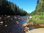 Ein Fluss mit Steinen, eine Person sitzt am Ufer, und dichter Wald im Hintergrund.