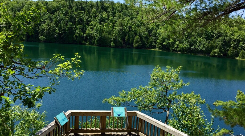 It was a really nice day at Parc de la Gatineau. At Pink Lake you'll always feel relaxed.