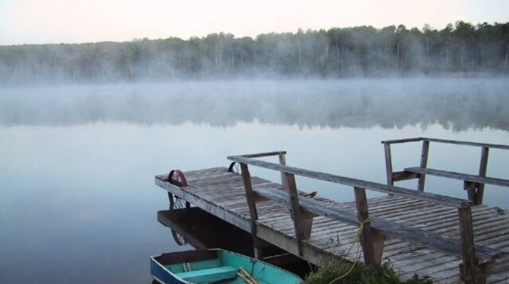 Misty morning early June