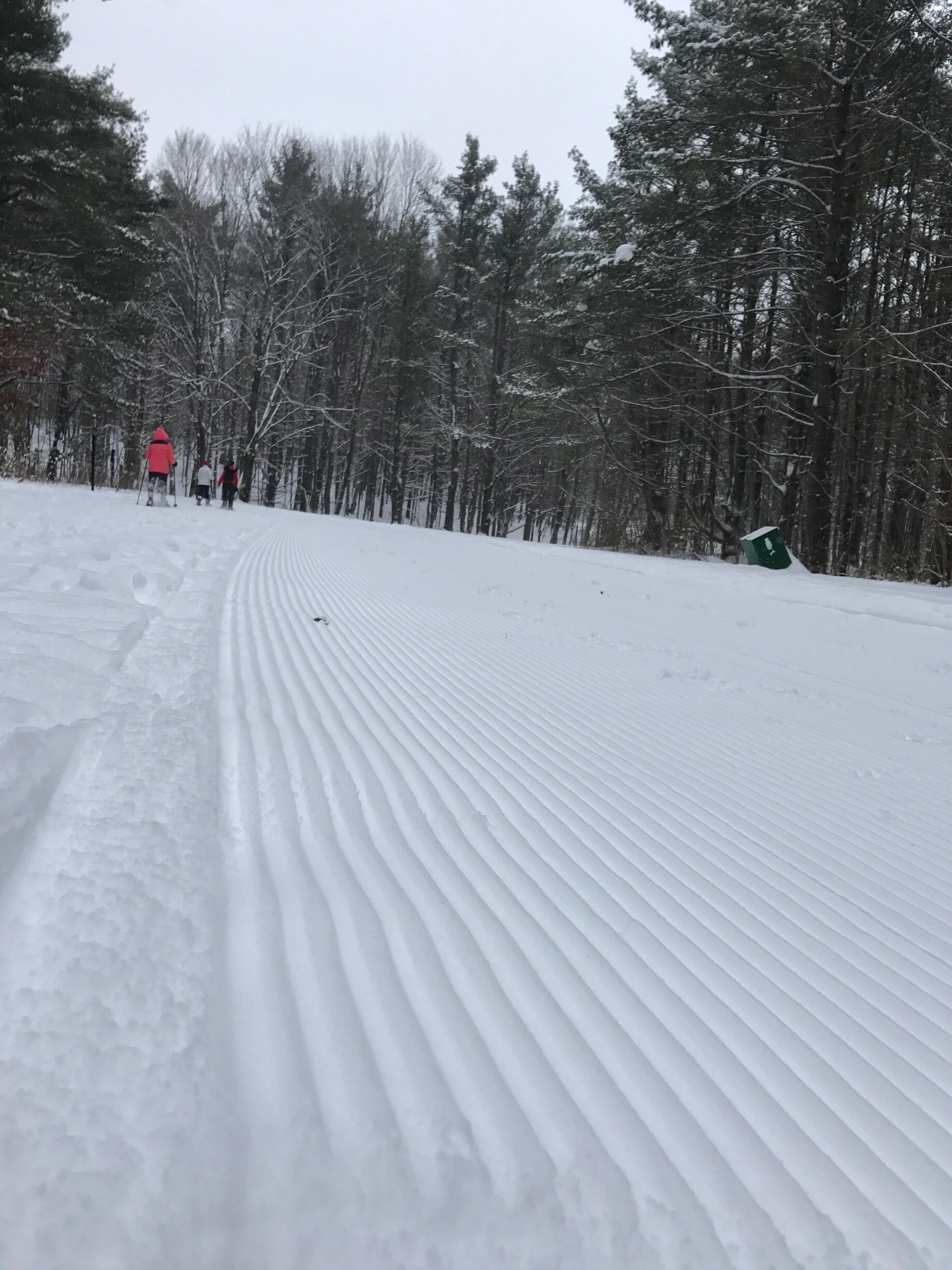 Gatineau Park during Winter provides trails for cross country skiing and snow shoeing. #TakeAHike  in Winter