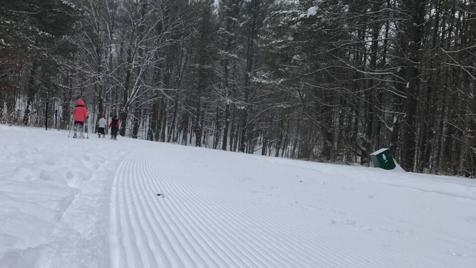 A snowy forest trail with a red sign and a green object in the distance.
