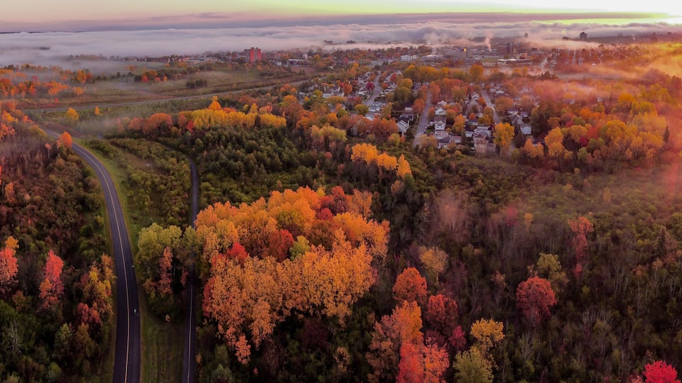 A forested landscape with a winding road, a town in the background, and a body of water.
