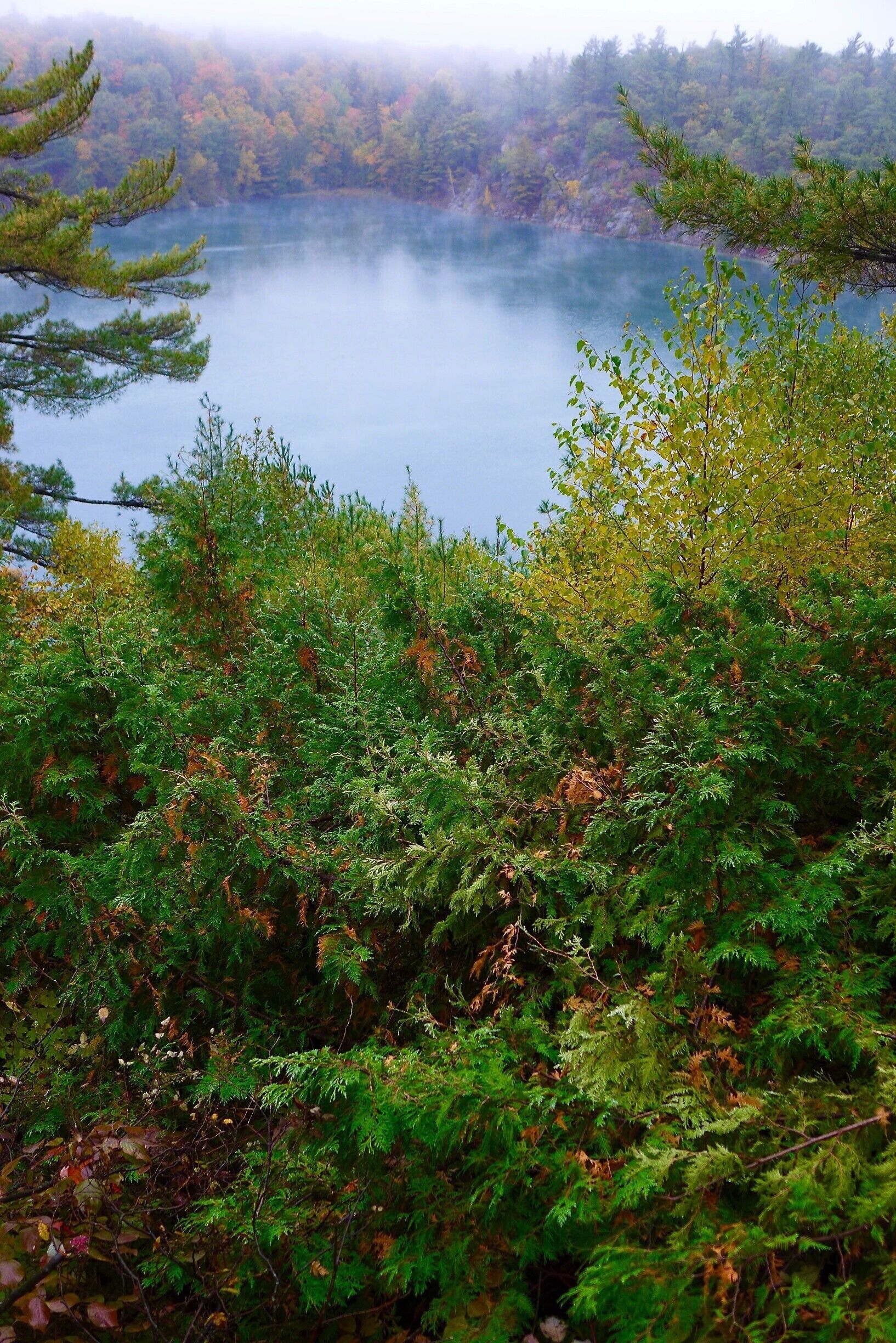 The Pink Lake in the Gatineau Forest near Ottawa, Canada
