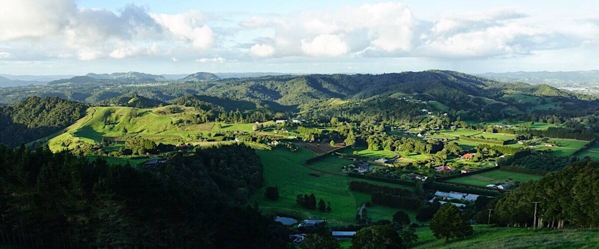 When everything is green and the sheep are having their lambs.
This is the kind of view you can get just about anywhere in Whangerei, New Zealand. We climbed 1/2 way up and a nice farmer allowed us to walk the rest of the road on his property to this beautiful property. The warmer the weather the warmer the people! #springfun