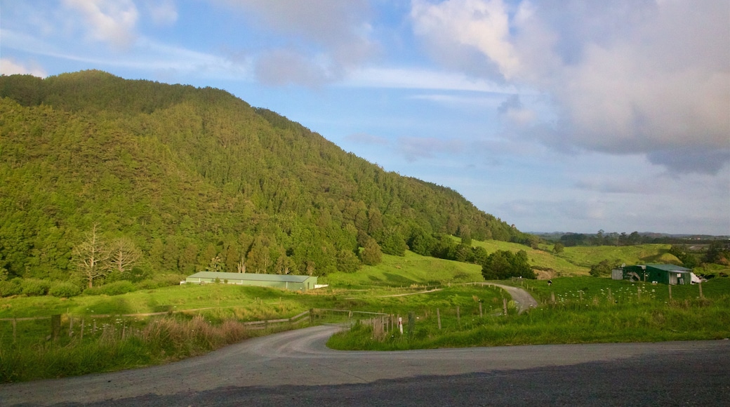 Whangarei