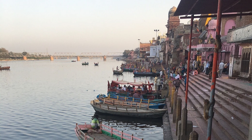 Took a little float on the Yamuna River in Mathura, Uttar Pradesh. Very friendly locals and a nice Holi ceremony in a temple on the riverbed💚🐒I’d go back