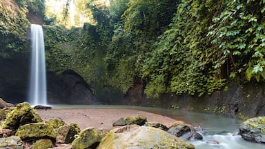 24mm, f22 @ 10secs
.
.
#travel #wanderlust #keepexploring #hiking #nature #chasingwaterfalls #waterfalls #waterfallsfordays #lifeofadventure #seekthetrails #amazingtravelbeauty #makeroomforawesome #longexposurephotograpy #longexposure