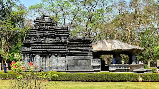 This 12th century basaltic temple devoted to Lord Shiva was built during the Kadamba period and has survived a very violent destructive religious intolerance. It's located deep inside the vast Bhagwan Mahaveer wildlife sanctuary and is a quaint peaceful place to visit.