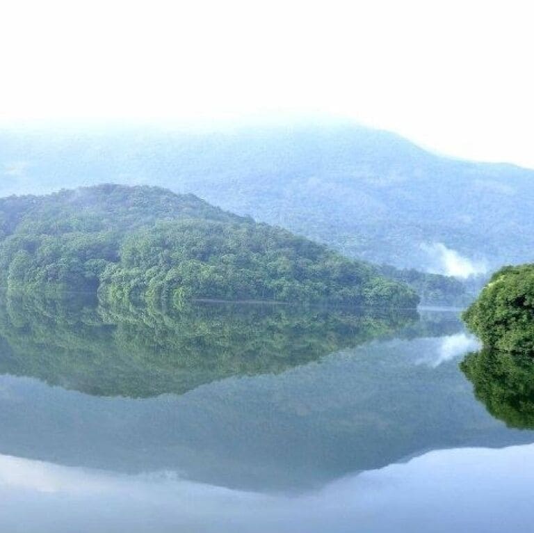 Siruvani dam near Silent valley national park is one of the last undisturbed tracts of South Western Ghats  rain forests and tropical moist evergreen forest in India