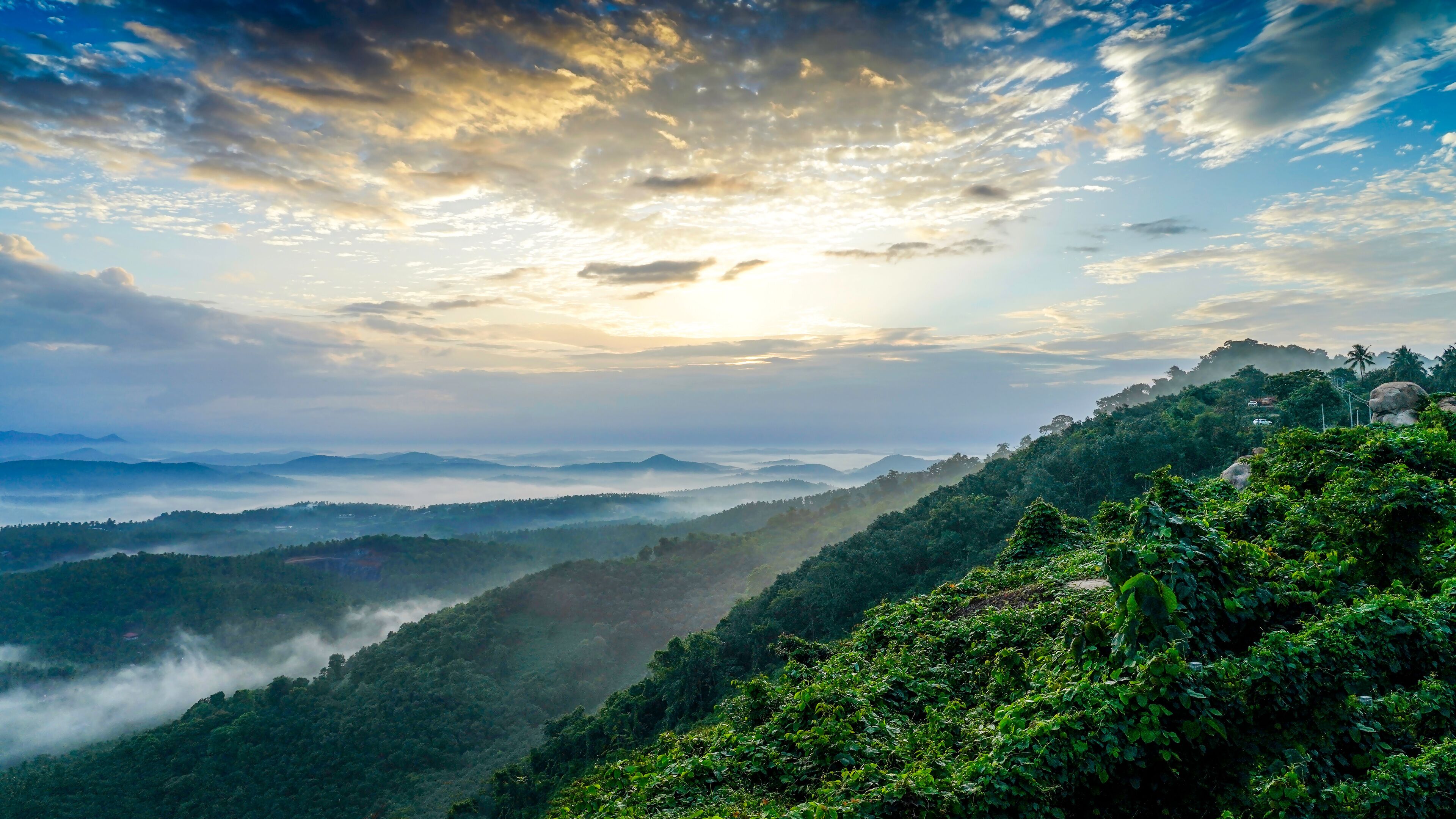 A mountainous landscape with lush greenery, rolling hills, and a misty valley.