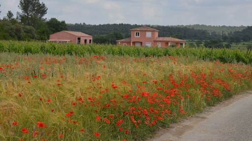 "Street"view just outside Junas with characteristic Cevennes houses