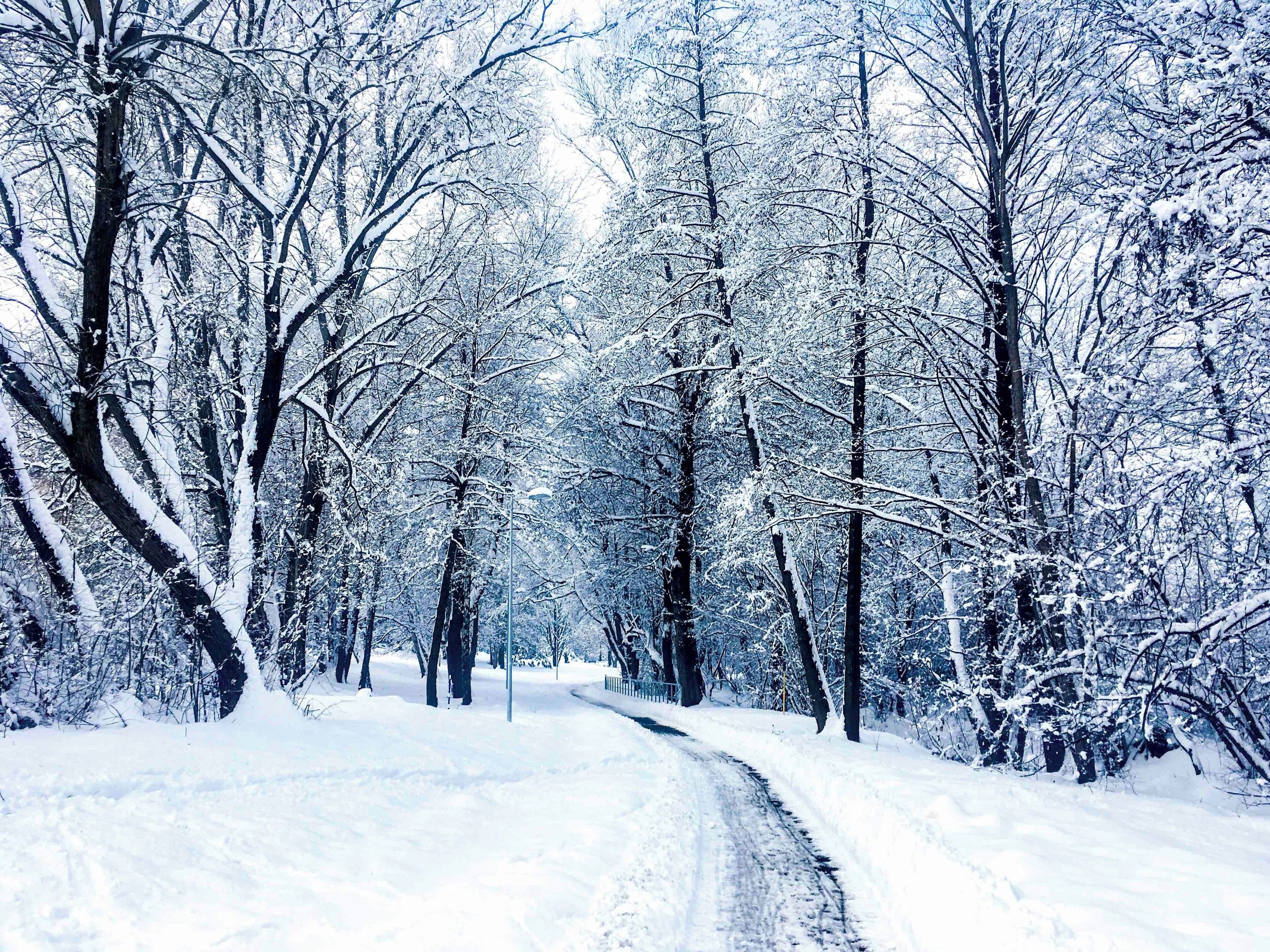 Slovak nature in winter.