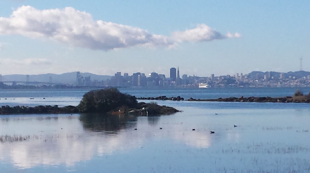 Hiking on the Bay Trail in Richmond.CA, looking southwest toward San Francisco, .CA, and the Bay Bridge.