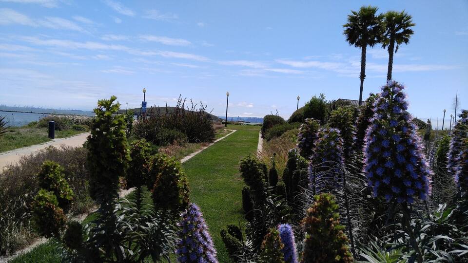 Flowers and green all the way throughout this trail.