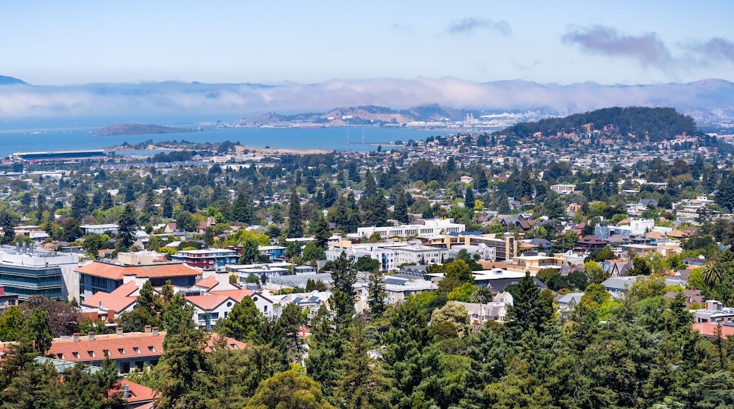 View towards Berkeley, Richmond and the San Francisco bay area shoreline on a sunny day; University of California Berkeley campus buildings in the foreground, California
