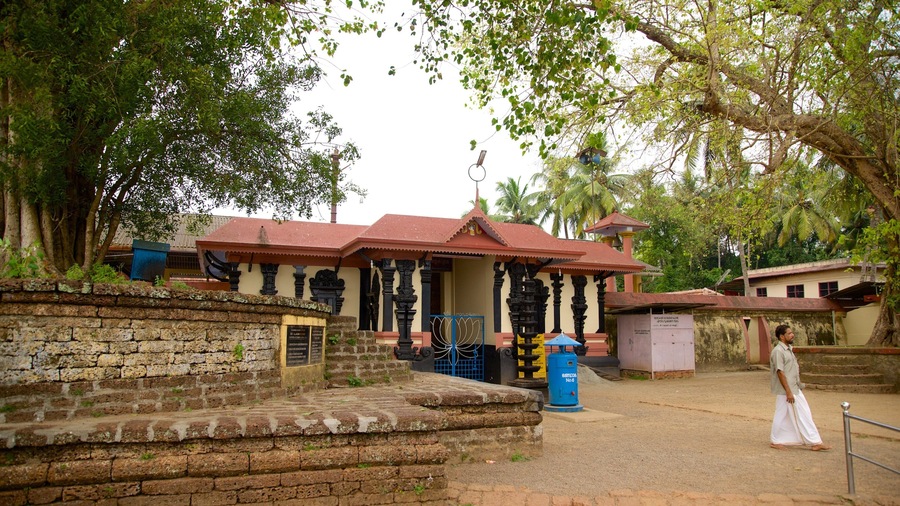 Distrito de Malappuram