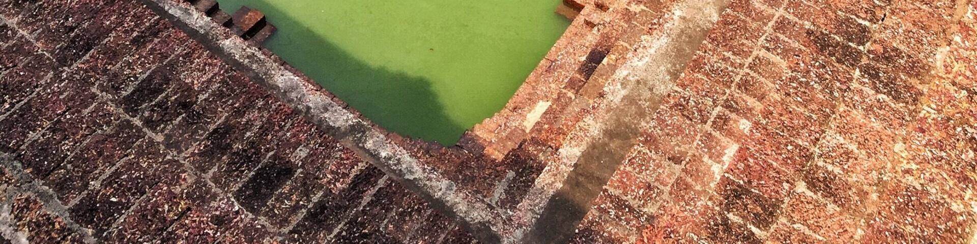 Temple pond.. Sri Subrahmanya temple is located here and also if stories are to believed then this is the place where Rama and Lakshmana rested enroute to rescue Sita #indianmythology #kannur #templesofindia